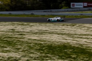 #19 Mercedes-AMG GT3 of Will Hardeman and Adam Carroll, April 2023., CA, Esses Racing with Mercedes-Benz of Austin, GT World Challenge America, Pro-Am, SRO America, Sonoma, Sonoma Raceway
 | Fabian Lagunas / SRO