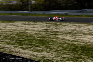 #21 Ferrari 296 GT3 of Manny Franco and Alessandro Balzan, April 2023., CA, Conquest Racing, GT World Challenge America, Pro, SRO America, Sonoma, Sonoma Raceway
 | Fabian Lagunas / SRO