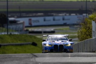 #38 BMW M4 GT3 of Samantha Tan and John Edwards, April 2023., CA, GT World Challenge America, Pro-Am, SRO America, ST Racing, Sonoma, Sonoma Raceway
 | Fabian Lagunas / SRO