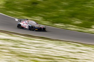 #91 Mercedes-AMG GT3 of Jeff Burton and Corey Lewis, April 2023., CA, DXDT Racing, GT World Challenge America, Pro-Am, SRO America, Sonoma, Sonoma Raceway
 | Fabian Lagunas / SRO