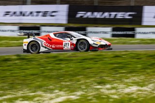 #21 Ferrari 296 GT3 of Manny Franco and Alessandro Balzan, April 2023., CA, Conquest Racing, GT World Challenge America, Pro, SRO America, Sonoma, Sonoma Raceway
 | Fabian Lagunas / SRO