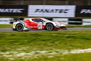 #21 Ferrari 296 GT3 of Manny Franco and Alessandro Balzan, April 2023., CA, Conquest Racing, GT World Challenge America, Pro, SRO America, Sonoma, Sonoma Raceway
 | Fabian Lagunas / SRO