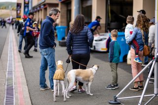 April 2023., CA, SRO America, Sonoma, Sonoma Raceway
 | Fabian Lagunas / SRO