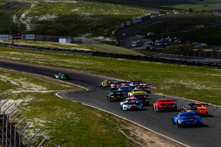 #28 PorscheGT3 R 992 of Eric Filgueiras and Steven McAllen, April 2023., CA, GT World Challenge America, Pro, RS1, SRO America, Sonoma, Sonoma Raceway
 | Fabian Lagunas / SRO
