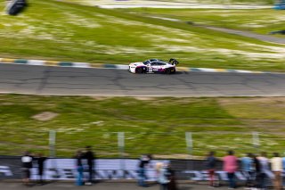 #94 BMW M4 GT3 of Chandler Hull and Bill AUberlen, April 2023., BimmerWorld, CA, GT World Challenge America, Pro, SRO America, Sonoma, Sonoma Raceway
 | Fabian Lagunas / SRO