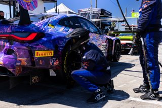 #38 BMW M4 GT3 of Samantha Tan and John Edwards, April 2023., GT World Challenge America, LA, NOLA Motorsports Park, New Orleans, Pro-Am, SRO America, ST Racing
 | Fabian Lagunas / SRO