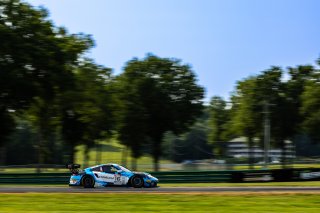 #16 Porsche 911 GT3-R (991.ii) of Pedro Torres and Spencer Pumpelly, ACI Motorsport, Alton, GT World Challenge America, Pro-Am, SRO America, VA 2023., VIR
 | Fabian Lagunas / SRO