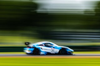 #16 Porsche 911 GT3-R (991.ii) of Pedro Torres and Spencer Pumpelly, ACI Motorsport, Alton, GT World Challenge America, Pro-Am, SRO America, VA 2023., VIR
 | Fabian Lagunas / SRO