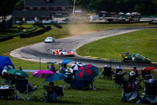 #21 Ferrari 296 GT3 of Manny Franco and Alessandro Balzan, Alton, Conquest Racing, GT World Challenge America, Pro, SRO America, VA 2023., VIR
 | Fabian Lagunas / SRO