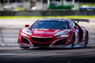 #93 Acura NSX GT3 EVO22 of Ashton Harrison and Mario Farnbacher, 2023 Fanatec GT World Challenge America SRO, GT World Challenge America, Pro, Racers Edge Motorsports, Sebring International Raceway Sep 22-24
 | www.lagunasphotography.com