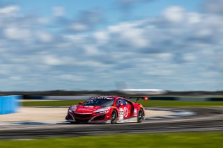 #93 Acura NSX GT3 EVO22 of Ashton Harrison and Mario Farnbacher, 2023 Fanatec GT World Challenge America SRO, GT World Challenge America, Pro, Racers Edge Motorsports, Sebring International Raceway Sep 22-24
 | www.lagunasphotography.com