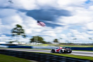 #21 Ferrari 296 GT3 of Manny Franco and Alessandro Balzan, 2023 Fanatec GT World Challenge America SRO, Conquest Racing, GT World Challenge America, Pro, Sebring International Raceway Sep 22-24
 | www.lagunasphotography.com