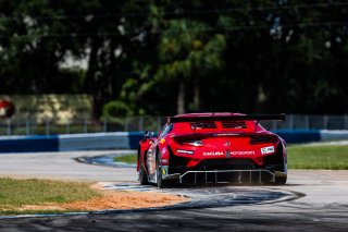 #93 Acura NSX GT3 EVO22 of Ashton Harrison and Mario Farnbacher, 2023 Fanatec GT World Challenge America SRO, GT World Challenge America, Pro, Racers Edge Motorsports, Sebring International Raceway Sep 22-24
 | www.lagunasphotography.com