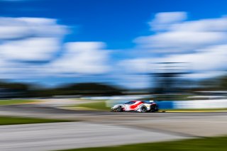 #21 Ferrari 296 GT3 of Manny Franco and Alessandro Balzan, 2023 Fanatec GT World Challenge America SRO, Conquest Racing, GT World Challenge America, Pro, Sebring International Raceway Sep 22-24
 | www.lagunasphotography.com