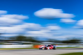 #53 Porsche GT3 992 of Trenton Estep and Seth Lucas, 2023 Fanatec GT World Challenge America SRO, GT World Challenge America, MDK Motorsports, Pro, Sebring International Raceway Sep 22-24
 | www.lagunasphotography.com
