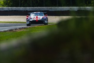 #53 Porsche GT3 992 of Trenton Estep and Seth Lucas, Aug. 18-20 2023 Fanatec GT World Challenge America SRO, GT World Challenge America, MDK Motorsports, Pro, Road America
 | www.lagunasphotography.com