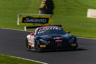 #91 Mercedes-AMG GT3 of Jeff Burton and Corey Lewis, Aug. 18-20 2023 Fanatec GT World Challenge America SRO, DXDT Racing, GT World Challenge America, Pro-Am, Road America
 | www.lagunasphotography.com