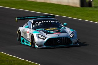 #19 Mercedes-AMG GT3 of Will Hardeman and Adam Carroll, Aug. 18-20 2023 Fanatec GT World Challenge America SRO, Esses Racing with Mercedes-Benz of Austin, GT World Challenge America, Pro-Am, Road America
 | www.lagunasphotography.com