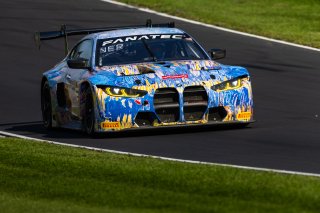 #38 BMW M4 GT3 of Samantha Tan and Neil Verhagen, Aug. 18-20 2023 Fanatec GT World Challenge America SRO, GT World Challenge America, Pro-Am, Road America, ST Racing
 | www.lagunasphotography.com