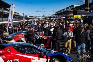 2023 Fanatec GT World Challenge America SRO, Grid walk at INDIANAPOLIS 8 HOUR presented by AWS, October 5-7
 | www.lagunasphotography.com
