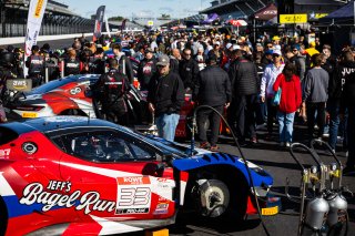 2023 Fanatec GT World Challenge America SRO, Grid walk at INDIANAPOLIS 8 HOUR presented by AWS, October 5-7
 | www.lagunasphotography.com