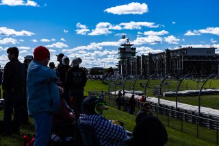 2023 Fanatec GT World Challenge America SRO, INDIANAPOLIS 8 HOUR presented by AWS, October 5-7
 | www.lagunasphotography.com