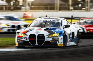 #31 BMW M4 GT3 of Augusto FARFUS, 2023 Fanatec GT World Challenge America SRO, Charles Weerts, GT World Challenge, IGTC Pro, INDIANAPOLIS 8 HOUR presented by AWS, Maxime MARTIN, October 5-7, Team WRT
 | www.lagunasphotography.com
