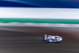 #16 Porsche 911 GT3-R (991.ii) of Pedro Torres and Spencer Pumpelly, ACI Motorsport, Austin, COTA, GT World Challenge America, May 2023., Pro-Am, SRO America, TX
 | Fabian Lagunas / SRO