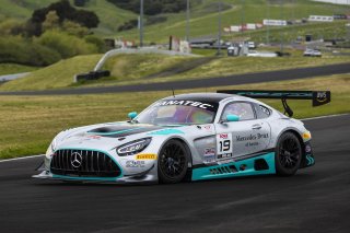 #19 Mercedes-AMG GT3 of Will Hardeman and Adam Carroll, Esses Racing with Mercedes-Benz of Austin, GT World Challenge America, Pro-Am, FANATEC GT World Challenge America Powered by AWS, SRO America, Sonoma Raceway, Sonoma, CA, April 2024.
 | Fabian Lagunas / SRO