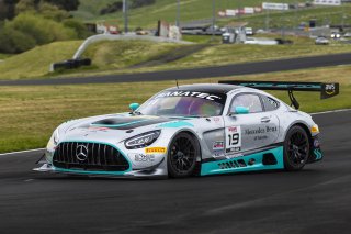 #19 Mercedes-AMG GT3 of Will Hardeman and Adam Carroll, Esses Racing with Mercedes-Benz of Austin, GT World Challenge America, Pro-Am, FANATEC GT World Challenge America Powered by AWS, SRO America, Sonoma Raceway, Sonoma, CA, April 2024.
 | Fabian Lagunas / SRO