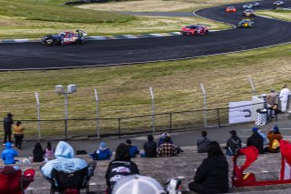 #91 Mercedes-AMG GT3 of Jeff Burton and Philip Ellis, DXDT Racing, GT World Challenge America, Pro-Am, SRO America, FANATEC GT World Challenge America Powered by AWS, Sonoma Raceway, Sonoma, CA, April 2024.
 | Fabian Lagunas / SRO