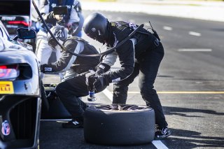 #08 Mercedes-AMG GT3 of Scott Smithson and Bryan Sellers, DXDT Racing, GT World Challenge America, Pro-Am, FANATEC GT World Challenge America Powered by AWS, SRO America, Sonoma Raceway, Sonoma, CA, April 2024.
 | Fabian Lagunas / SRO