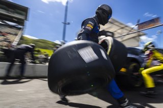 #38 BMW M4 GT3 of Samantha Tan and Neil Verhagen, ST Racing, GT World Challenge America, Pro-Am, SRO America, FANATEC GT World Challenge America Powered by AWS, Sonoma Raceway, Sonoma, CA, April 2024.
 | Fabian Lagunas / SRO