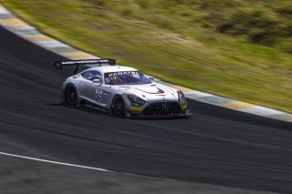 #50 Mercedes-AMG GT3 of Ross Chouest and Aaron Povoledo, Chouest Povoledo Racing, GT World Challenge America, Pro-Am, FANATEC GT World Challenge America Powered by AWS, Sonoma Raceway, Sonoma, CA, April 2024.
 | Fabian Lagunas / SRO