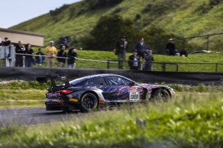 #38 BMW M4 GT3 of Samantha Tan and Neil Verhagen, ST Racing, GT World Challenge America, Pro-Am, SRO America, FANATEC GT World Challenge America Powered by AWS, Sonoma Raceway, Sonoma, CA, April 2024.
 | Fabian Lagunas / SRO