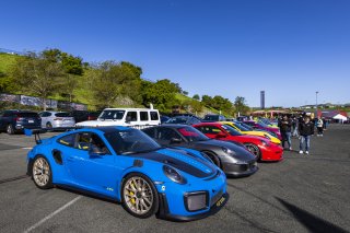 Activations at FANATEC GT World Challenge America Powered by AWS, SRO America, Sonoma Raceway, Sonoma, CA, April 2024.
 | Fabian Lagunas / SRO