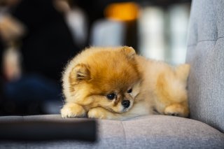 GT Paddock Club at FANATEC GT World Challenge America Powered by AWS, SRO America, Sonoma Raceway, Sonoma, CA, April 2024.
 | Fabian Lagunas / SRO