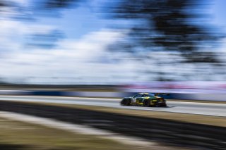 #120 Porsche 911 GT3-R of Adam Adelson and Elliott Skeer, Wright Motorsports, GT World Challenge America, Pro, FANATEC GT World Challenge America Powered by AWS, SRO America, Sebring International Raceway, Sebring, FL May 3 - 5 2024.
 | Fabian Lagunas / SRO