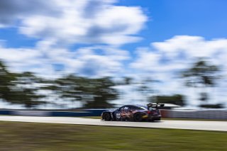 #38 BMW M4 GT3 of Samantha Tan and Neil Verhagen, ST Racing, GT World Challenge America, Pro-Am, SRO America, FANATEC GT World Challenge America Powered by AWS, Sebring International Raceway, Sebring, FL May 3 - 5 2024.
 | Fabian Lagunas / SRO