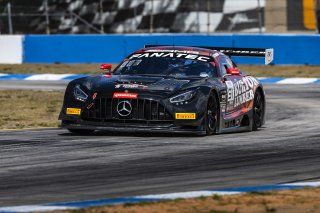 #91 Mercedes-AMG GT3 of Jeff Burton and Philip Ellis, Regulator Racing, GT World Challenge America, Pro-Am, SRO America, FANATEC GT World Challenge America Powered by AWS, Sebring International Raceway, Sebring, FL May 3 - 5 2024.
 | Fabian Lagunas / SRO