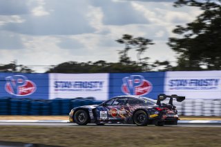 #38 BMW M4 GT3 of Samantha Tan and Neil Verhagen, ST Racing, GT World Challenge America, Pro-Am, SRO America, FANATEC GT World Challenge America Powered by AWS, Sebring International Raceway, Sebring, FL May 3 - 5 2024.
 | Fabian Lagunas / SRO