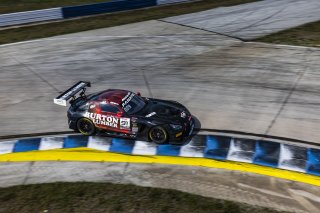 #91 Mercedes-AMG GT3 of Jeff Burton and Philip Ellis, Regulator Racing, GT World Challenge America, Pro-Am, SRO America, FANATEC GT World Challenge America Powered by AWS, Sebring International Raceway, Sebring, FL May 3 - 5 2024.
 | Fabian Lagunas / SRO