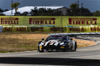 #8 Aston Martin Vantage AMR GT3 2024 of Elias Sabo and Andy Lee, Flying Lizard Motorsports, GT World Challenge America, Pro-Am, FANATEC GT World Challenge America Powered by AWS, SRO America, Sebring International Raceway, Sebring, FL May 3 - 5 2024.
 | Fabian Lagunas / SRO