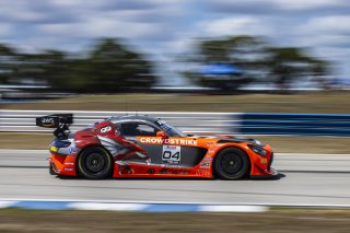 #04 Mercedes-AMG GT3 of George Kurtz and Colin Braun, Crowdstrike by Riley Motorsports, GT World Challenge America, Pro-Am, FANATEC GT World Challenge America Powered by AWS, SRO America, Sebring International Raceway, Sebring, FL May 3 - 5 2024.
 | Fabian Lagunas / SRO