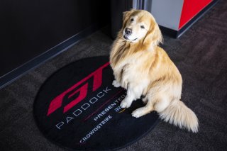 GT Paddock Club at FANATEC GT World Challenge America Powered by AWS, SRO America, Sebring International Raceway, Sebring, FL May 3 - 5 2024.
 | Fabian Lagunas / SRO