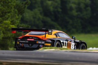 #8 Aston Martin Vantage AMR GT3 2024 of Elias Sabo and Andy Lee, Flying Lizard Motorsports, GT World Challenge America, Pro-Am, FANATEC GT World Challenge America Powered by AWS, SRO America, VIR, Alton, VA July 19 - 21 2024.
 | Fabian Lagunas / SRO      