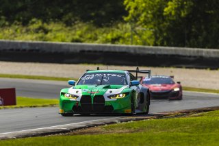 #99 BMW M4 GT3 of Kenton Koch and Madison Snow, Random Vandals Racing, GT World Challenge America, Pro, FANATEC GT World Challenge America Powered by AWS, SRO America, Road America, Elkhart Lake, WI August 16 - 18 2024.
 | Fabian Lagunas / SRO      