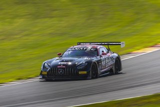 #91 Mercedes-AMG GT3 of Jeff Burton and Philip Ellis, Regulator Racing, GT World Challenge America, Pro-Am, SRO America, FANATEC GT World Challenge America Powered by AWS, Road America, Elkhart Lake, WI August 16 - 18 2024.
 | Fabian Lagunas / SRO      
