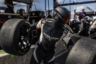 #8 BMW M4 GT3 2024 of Elias Sabo and Andy Lee, Flying Lizard Motorsports, GT World Challenge America, Pro-Am, FANATEC GT World Challenge America Powered by AWS, SRO America, Road America, Elkhart Lake, WI August 16 - 18 2024.
 | Fabian Lagunas / SRO      
