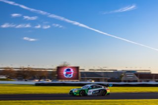 #99 BMW M4 GT3 of Kenton Koch, Conor Daly, and Connor De Phillippi, Random Vandals Racing, IGTC, IGTC Pro, FANATEC GT World Challenge America Powered by AWS, SRO America, INDY, Indianapolis, IN October 3 - 6 2024.
 | Fabian Lagunas/SRO